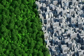 Aerial shot of the edge of a dense city area next to a tree-filled park