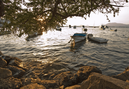 Shoreline with boats. Overhanging tree above. Sun setting behind.