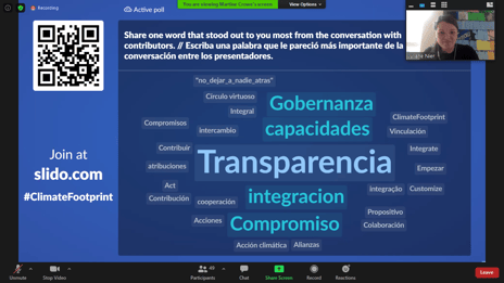 Screenshot from Peer Forum session. Speaker at top right. Image of PowerPoint slide with a brainstorm of words