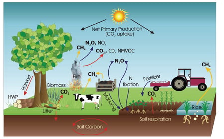 AFOLU emissions diagram - Climate Footprint Project.png