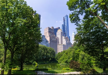 Central Park, NYC. Trees and greenery in the forefront and the city skyline to the back