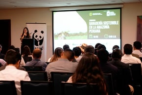 Presenter speaking in front of a seated group of people. Large screen in front of audience. 