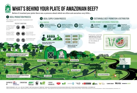 Amazonian beef