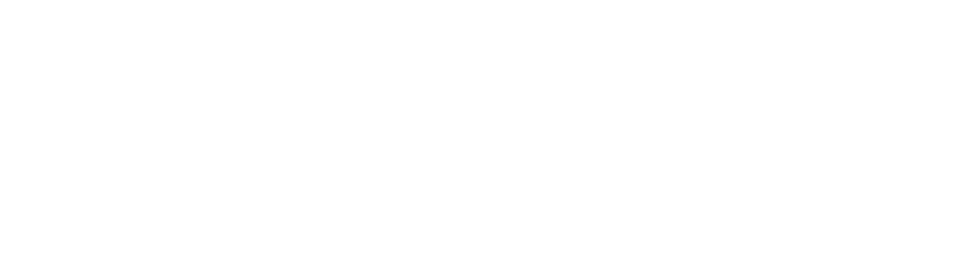 SYSTEMIQ Logo white