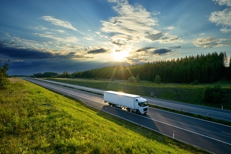 From Incentives to Impact: Scaling Zero-Emission Trucks