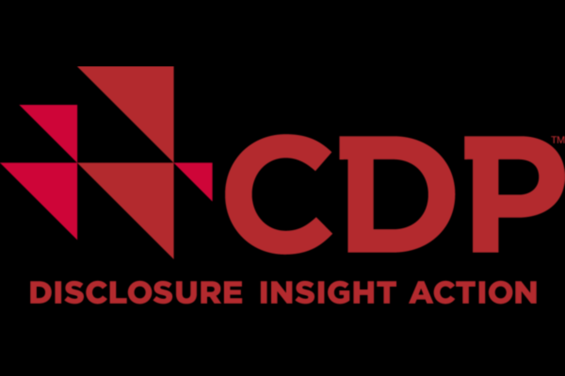 CDP logo - website size