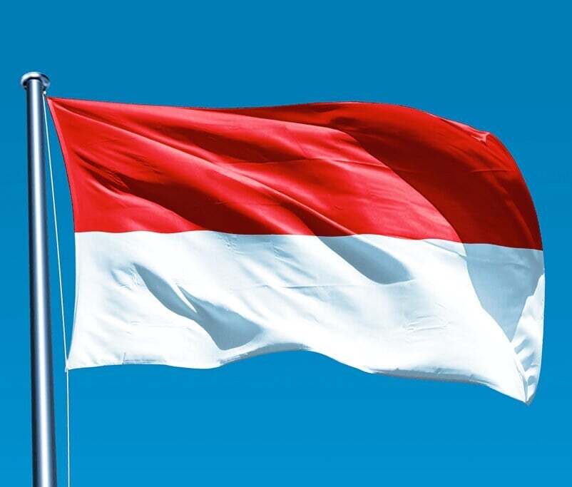 Champa Patel highlights climate agenda as Indonesia goes to the polls