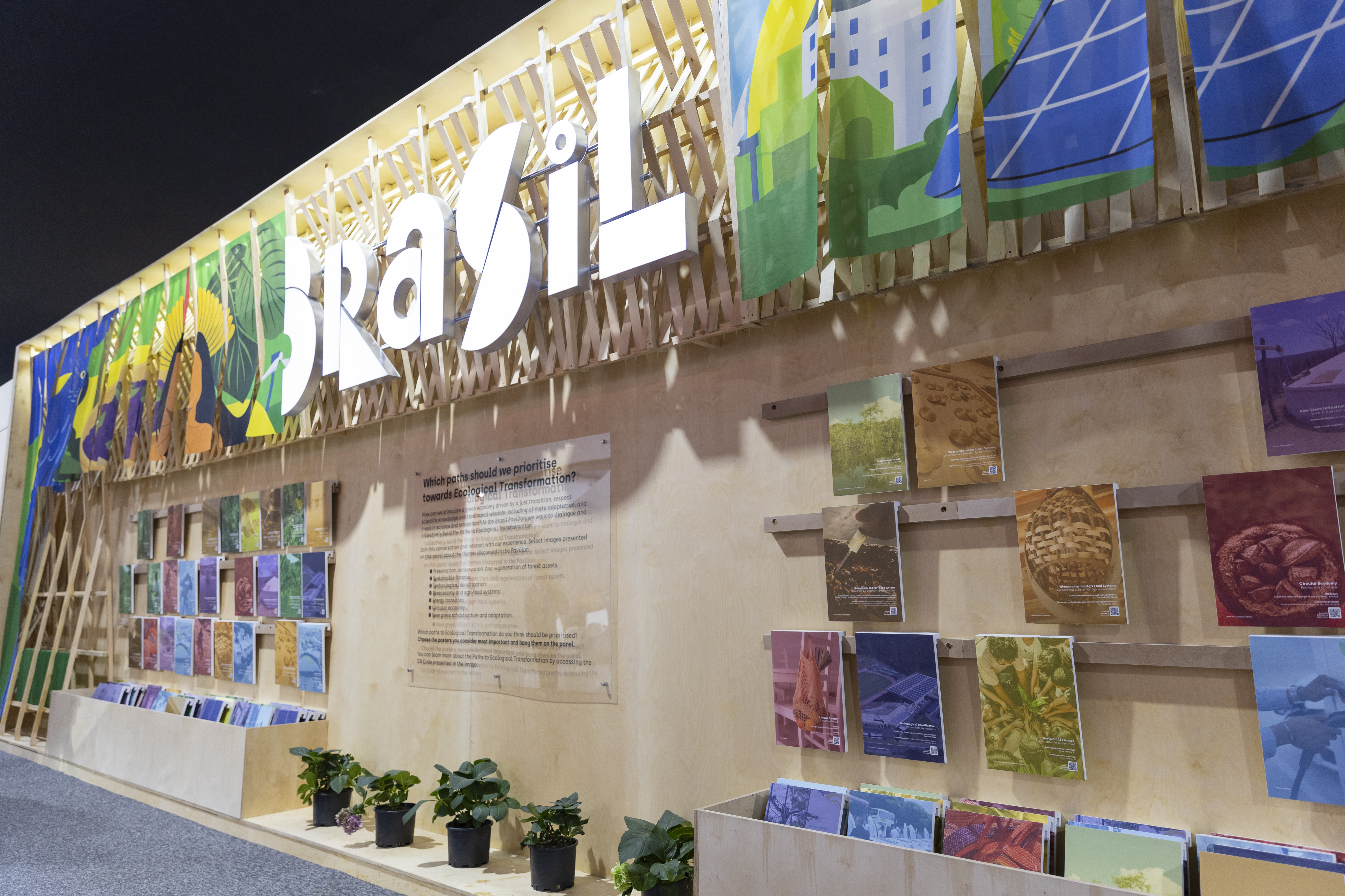 COP29: Climate Group responds to Brazil's NDC announcement