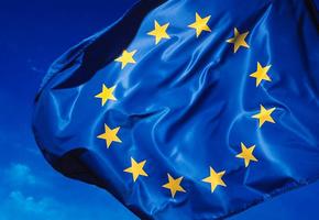 Climate Group manifesto for the 2024 EU elections