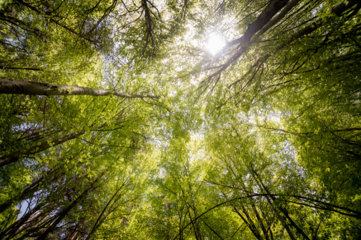 Under2 Coalition leaders shine in new UN “Local Leaders” Series on Earth Day 2025
