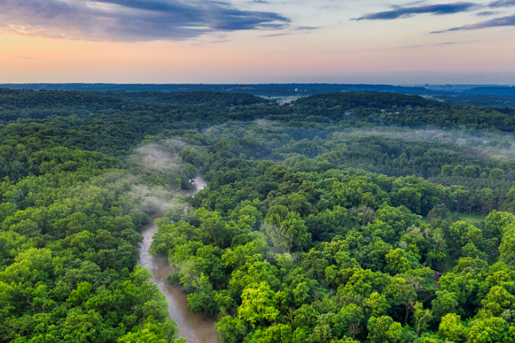 Pricing carbon: Subnational governments play a central role