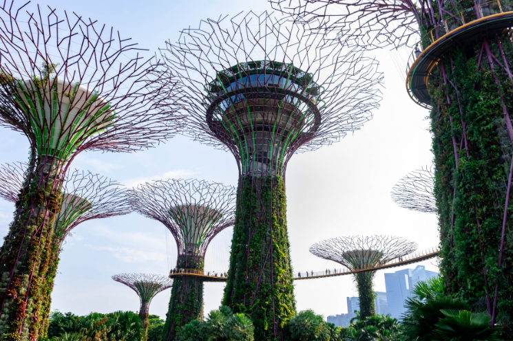How Asia’s net zero engine is powered by subnational governments