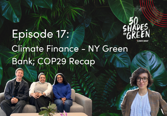 50 Shades of Green - talking climate finance with NY Green Bank and a COP29 recap with our Governments & Policy team