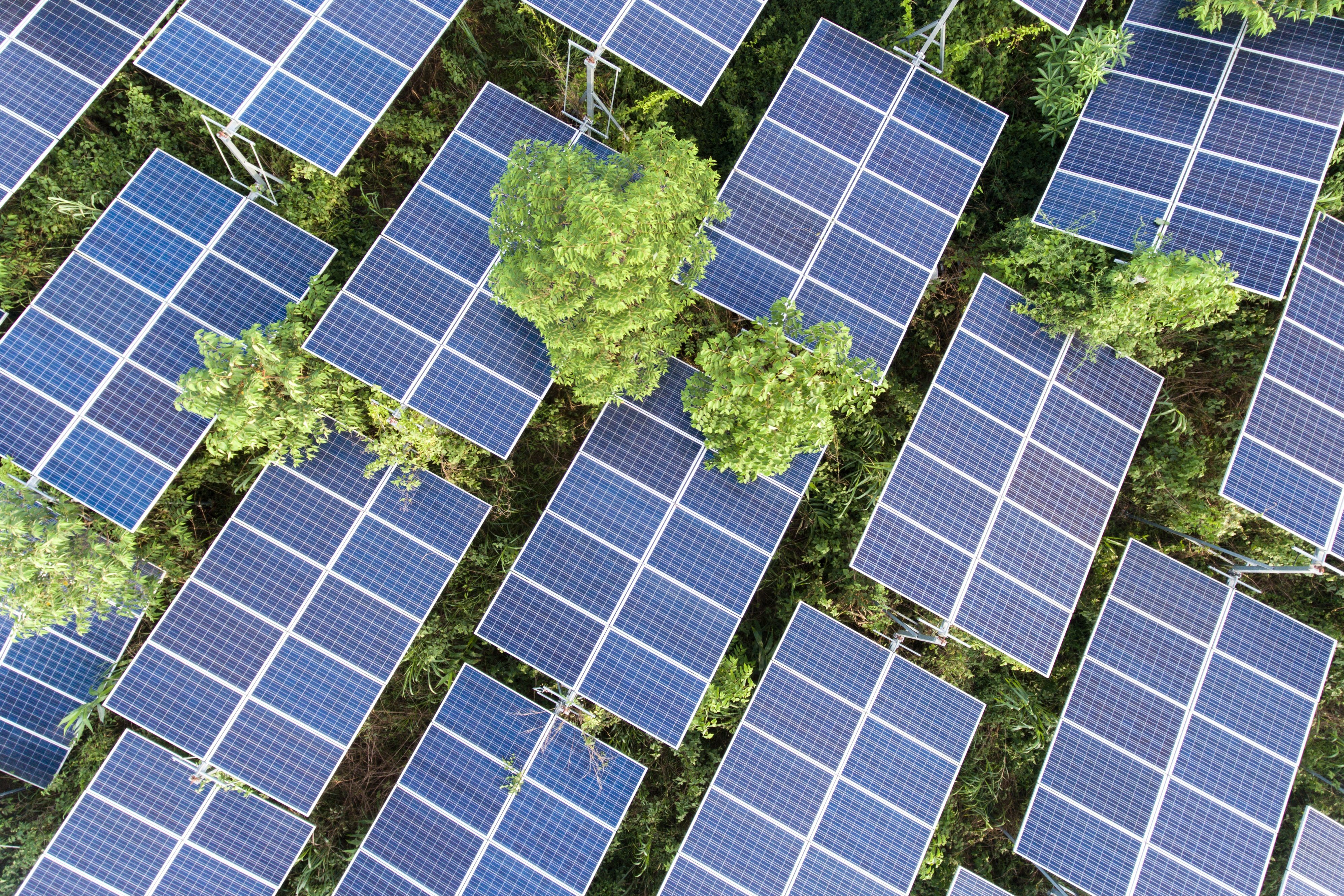 Speeding up Asia’s energy transition
