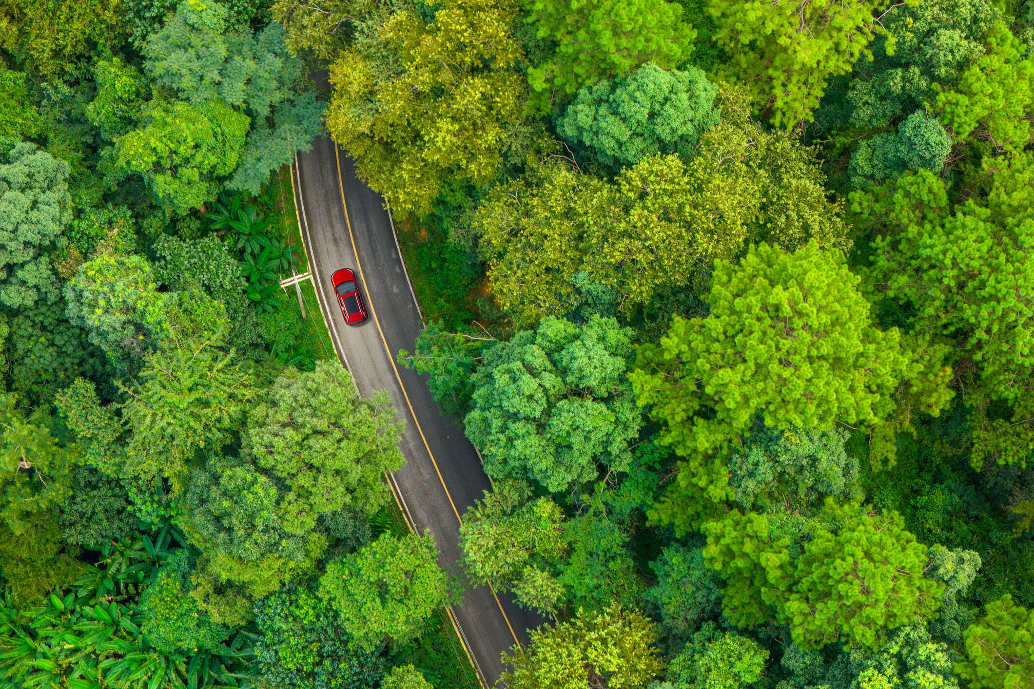 For a clean road transport future, collaboration must go global now