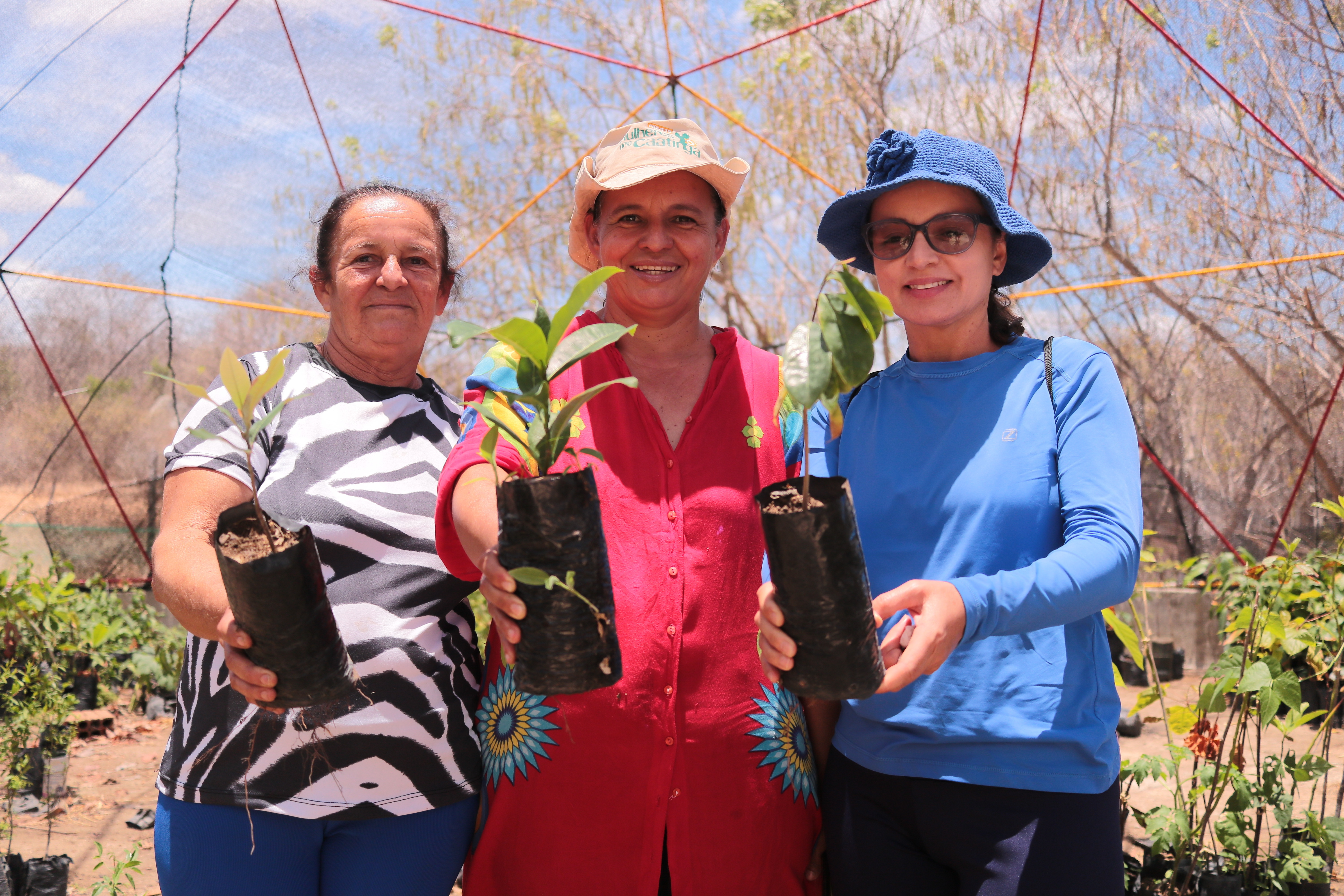 Local resilience actions following Just Transition Principles in Pernambuco, Brazil