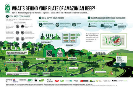 Amazonian beef