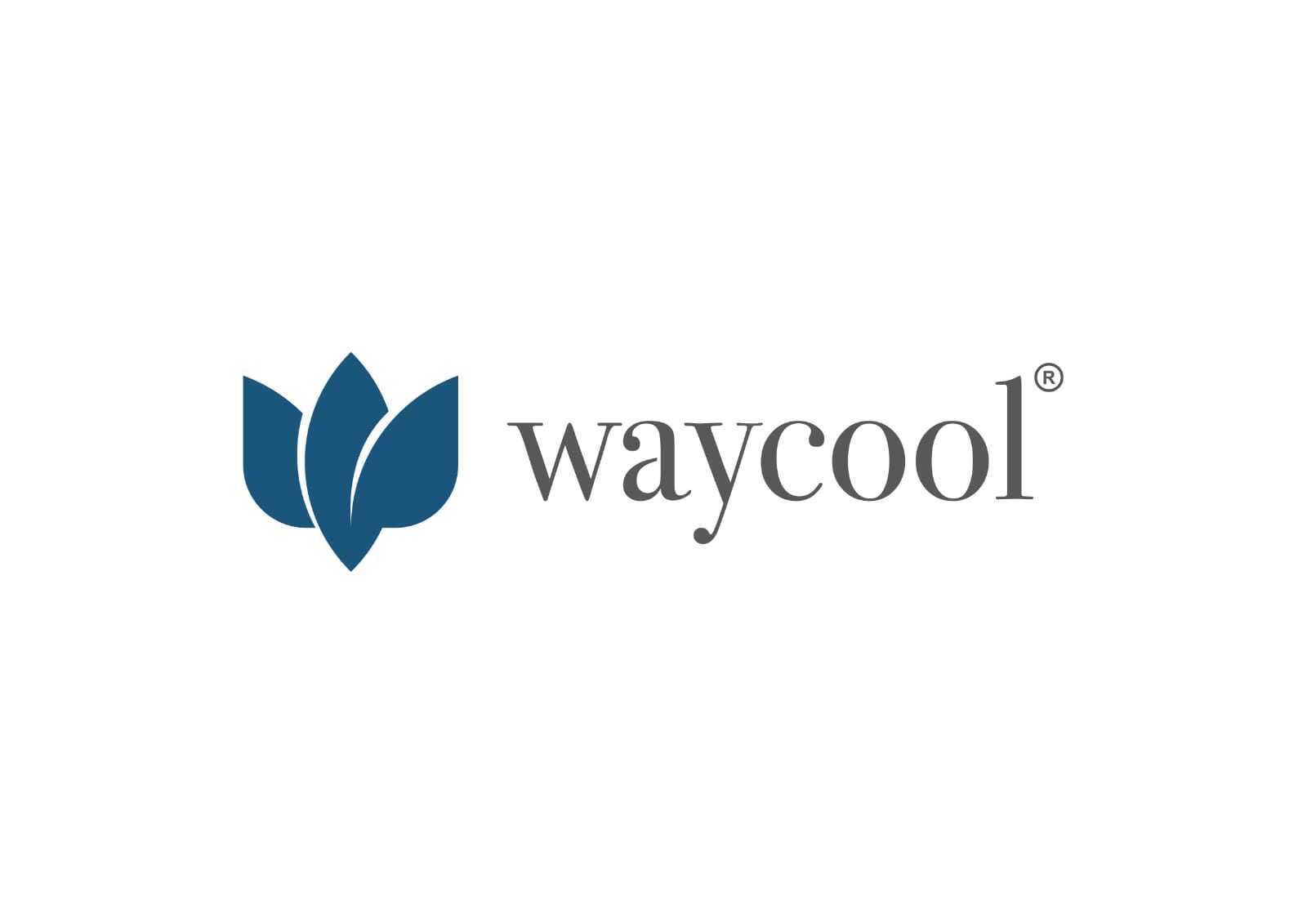 WayCool joins global EV initiative