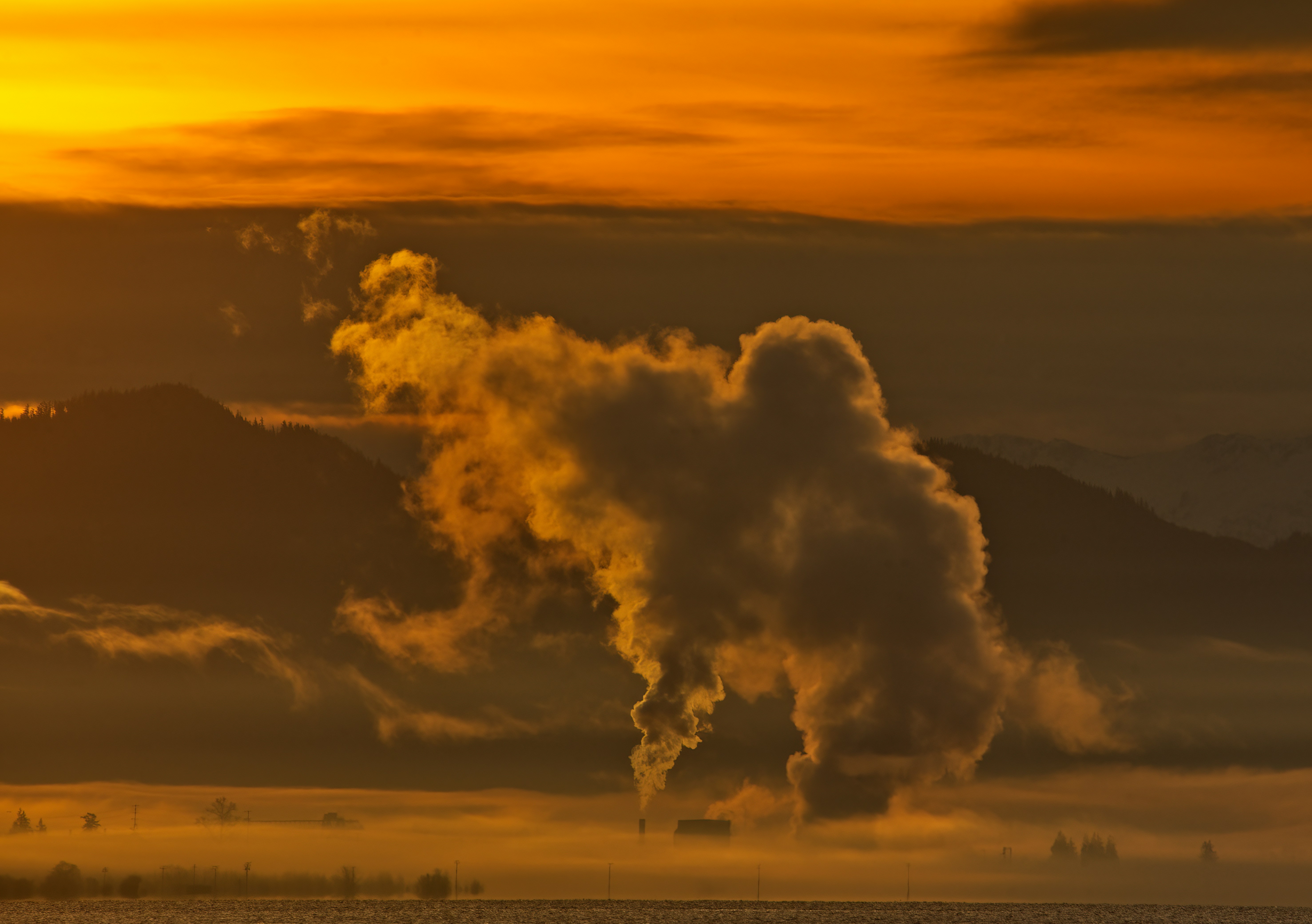 Climate Group's statement in response to 2024 breaching 1.5°C global temperature limit
