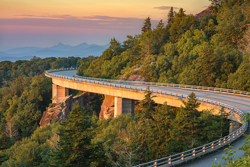 Why US states should adopt California’s Zero-Emission Vehicle Program