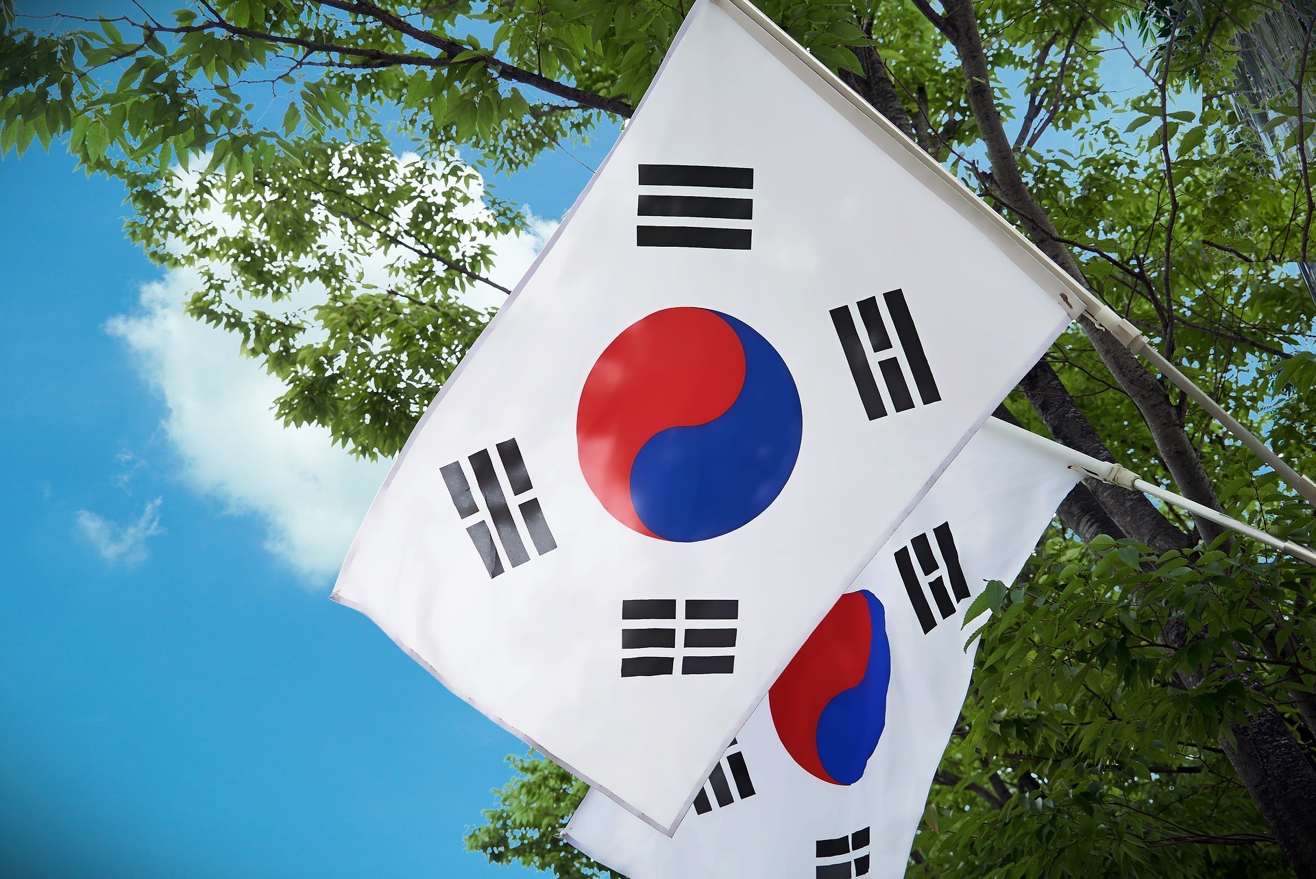 Four new South Korean members join RE100 showing clear demand for clean power