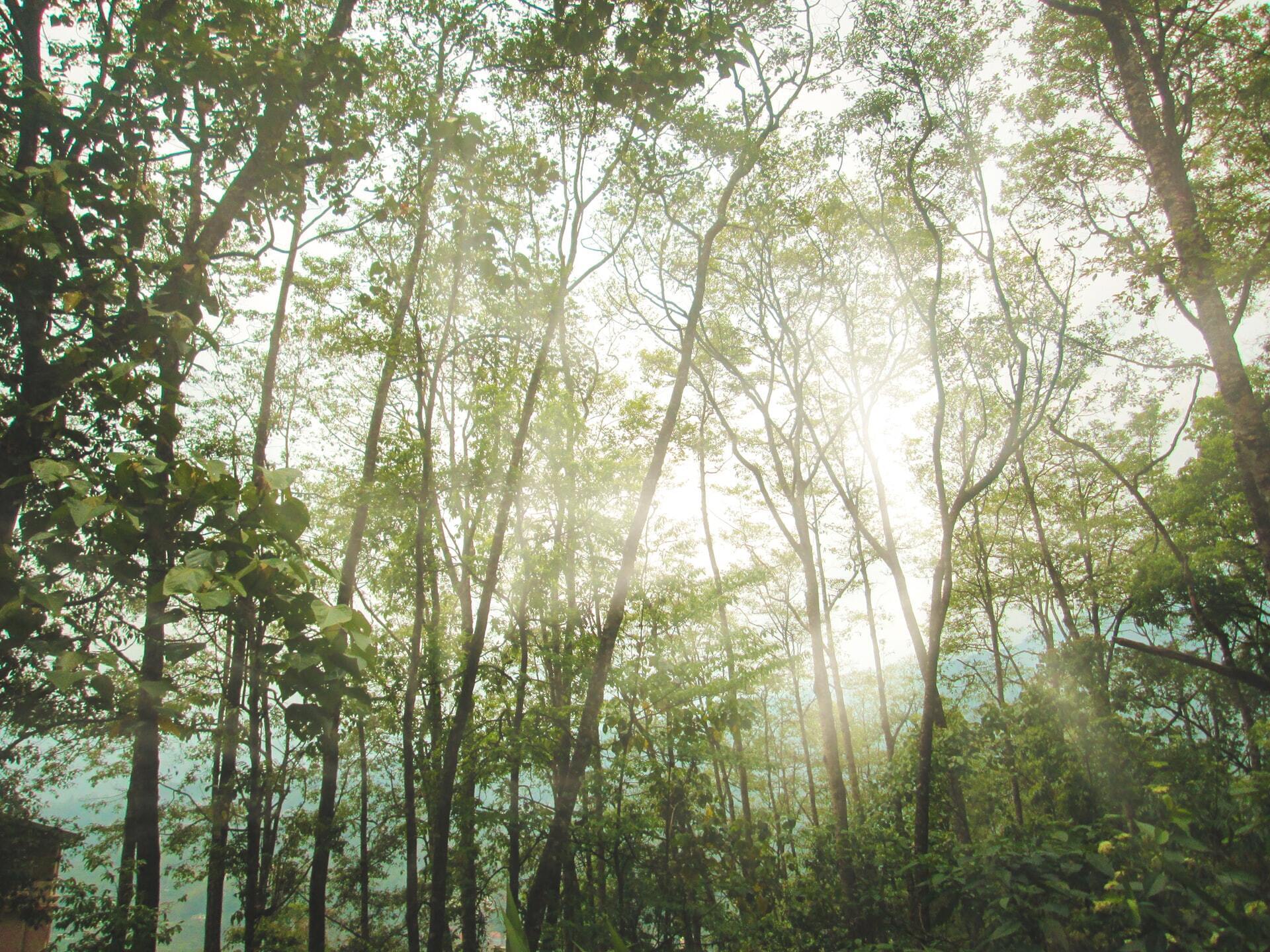 Catalysing climate smart growth in Indian States through finance for climate action – Event summary