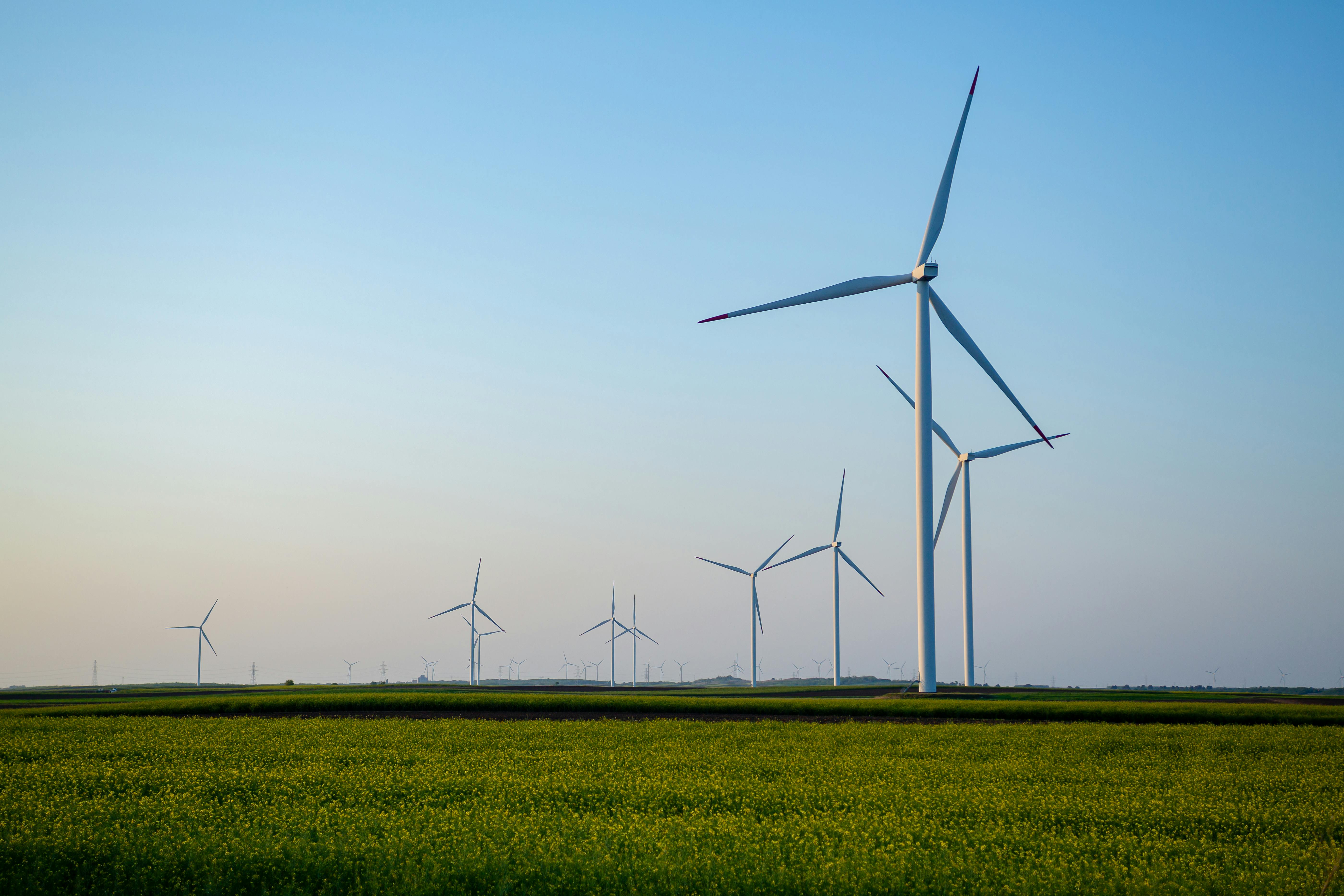 Green energy gets a boost as hourly tariffs become mainstream – new study