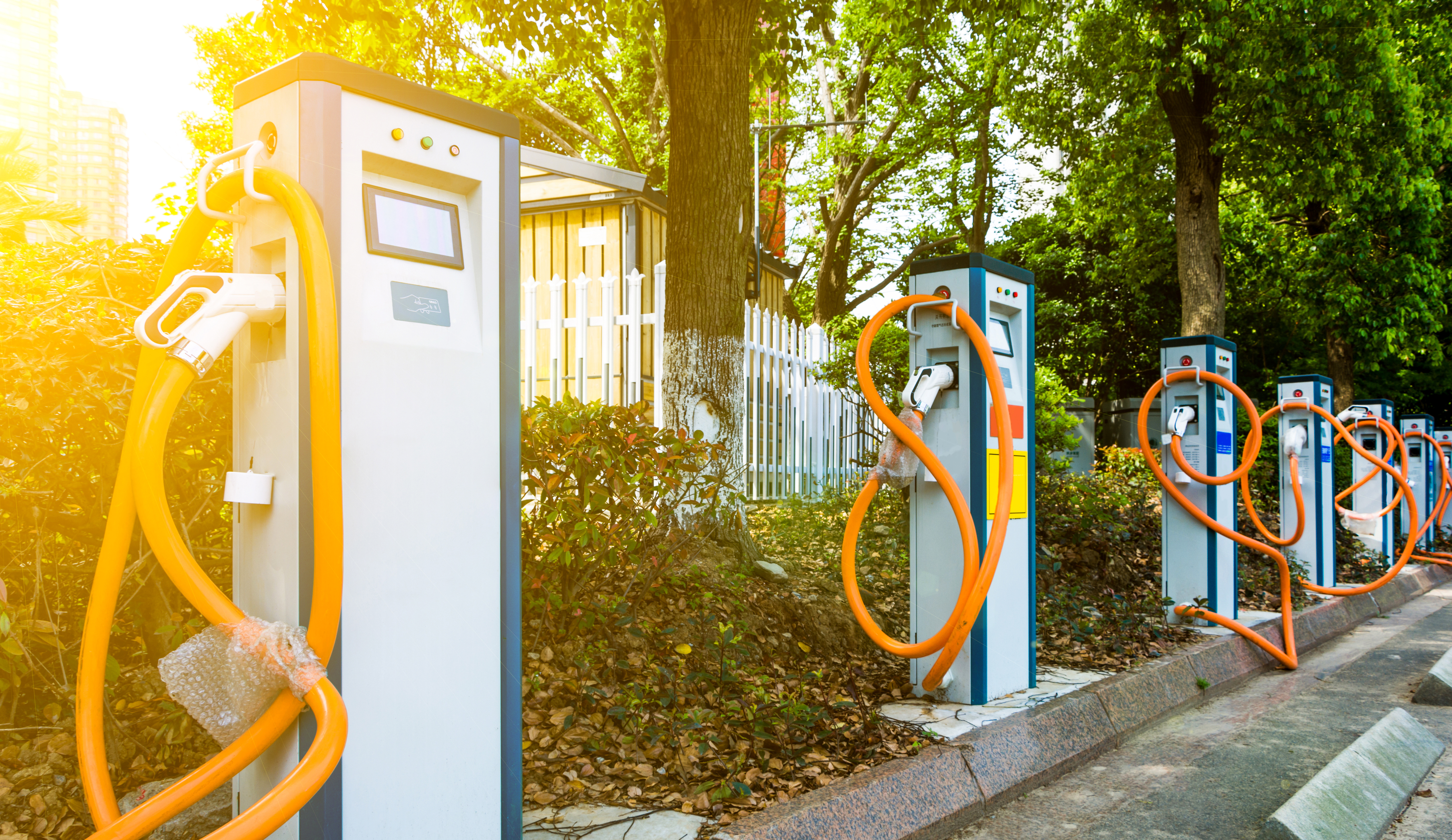EV100 companies from India leading the uptake of electric vehicles globally