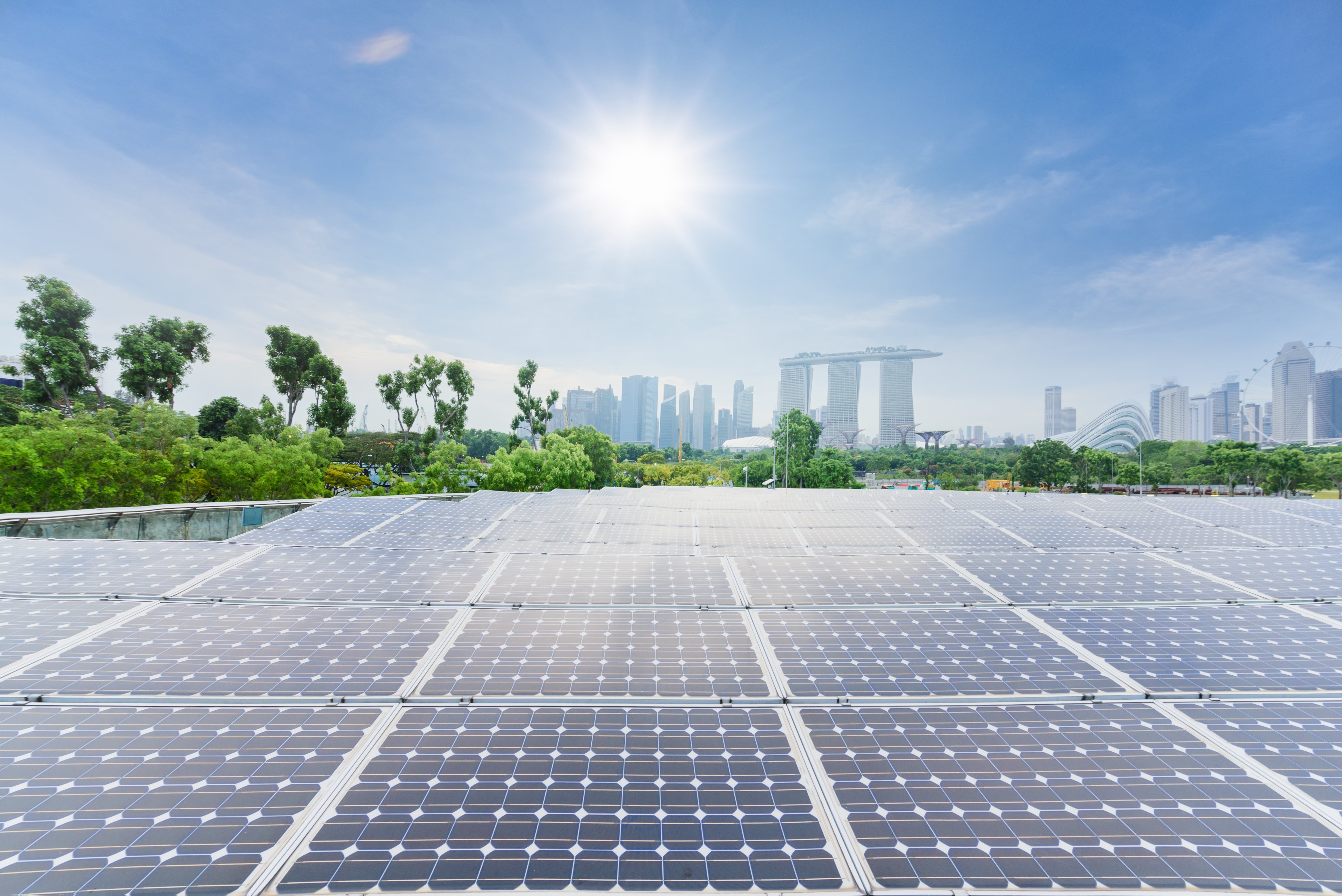 Powering green growth in Asia: An interview with Asia Clean Energy Coalition’s Suji Kang