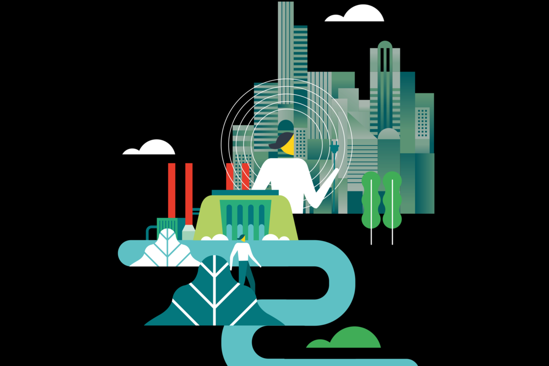 NZF graphic 5 - website dimensions