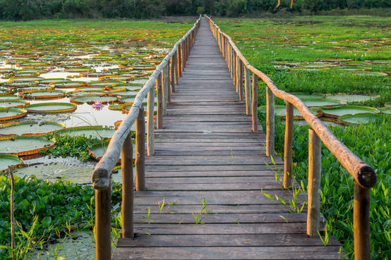 climate-change-mitigation-Brazilian-20Panantal-20wetlands.jpg