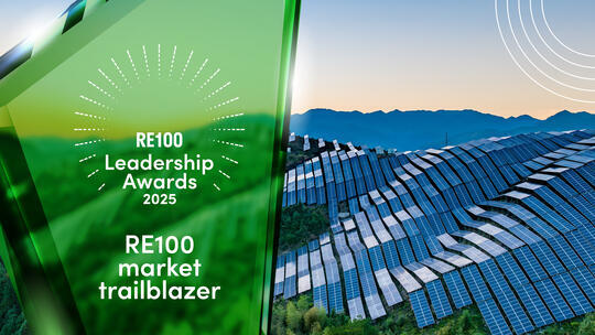 Leadership awards, market trailblazer category