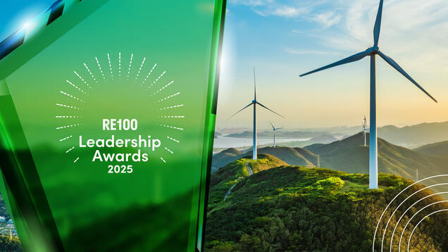 RE100 Leadership Awards 2025