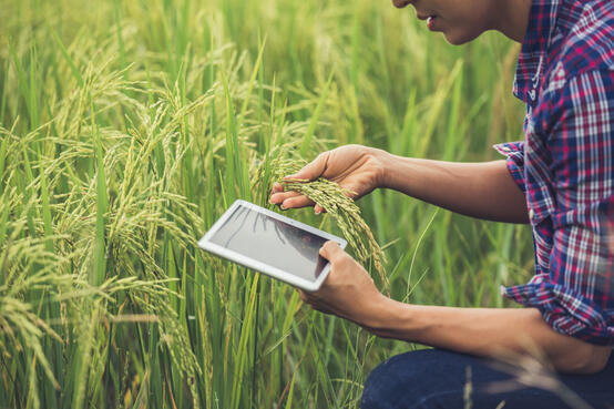 technology in farming