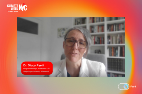 Dr stacy Pyett