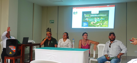 Panel of four farmers speaking at an event in San Martin, Peru