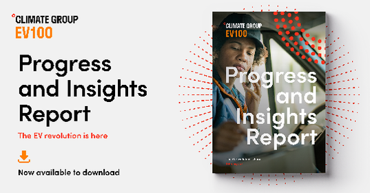 progress and insights report - image of report