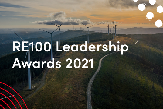 RE100 Leadership Awards Header Image