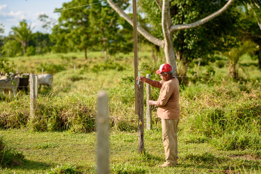 Peruvian farmer in field constructing a fence