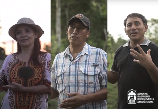 Three farmers speaking to camera. One woman and too men. AGRAP project logo in bottom right. 