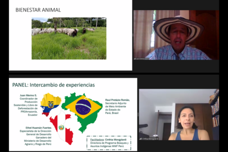 Screenshot of AGRAP webinar recording. Two speakers on right. Powerpoint slides on left with text and map infographics, and a photograph