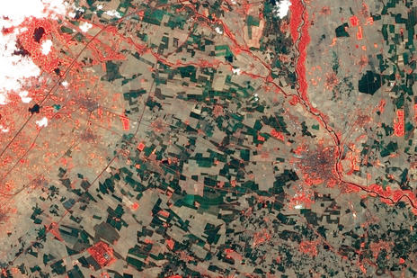 Satellite image of Sentinel vercelli rice field