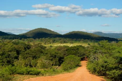 Landscape photo from Mato Grosso do Sul