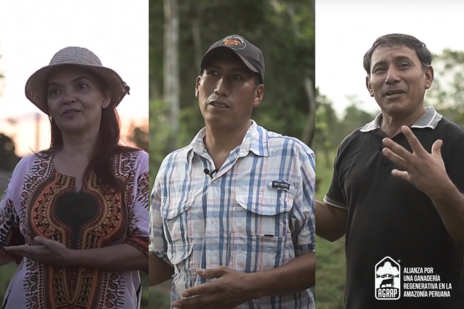 Three farmers speaking to camera. One woman and too men. AGRAP project logo in bottom right. 