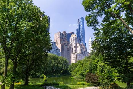 Central Park, NYC. Trees and greenery in the forefront and the city skyline to the back