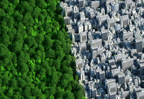Aerial shot of the edge of a dense city area next to a tree-filled park