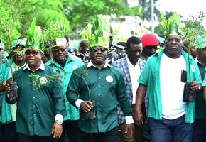 Green Carnival in Calabar, Nigeria. Source: Metro Newswire Blog