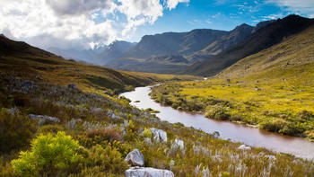 River flowing through the Kogelberg Nature Reserve, Western Cape.jpg